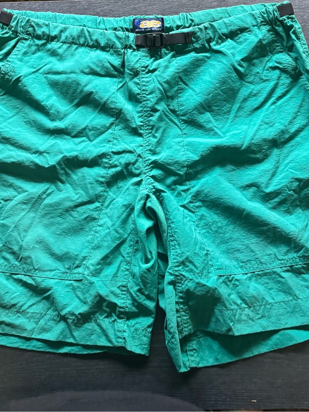 American Eagle Outfitters Teal Swim Trunks